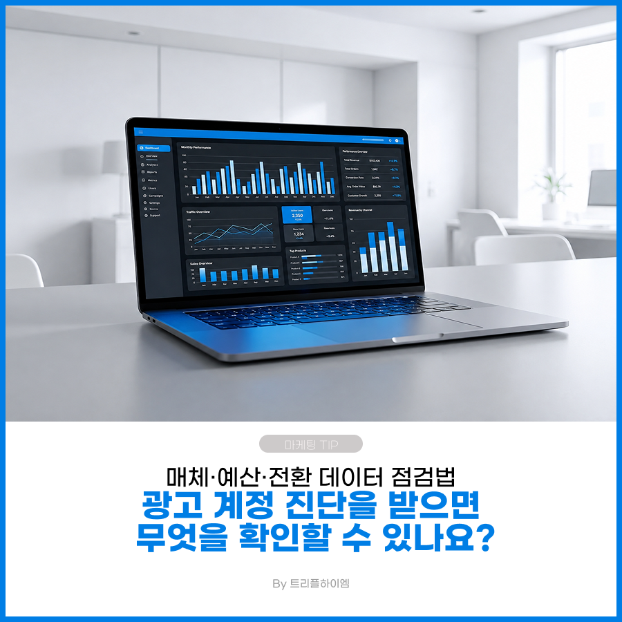 광고 계정 진단에서 매체·예산·전환 데이터를 확인하는 이미지